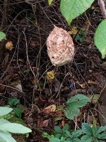 IMG_3769.jpg