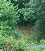 р2.gif