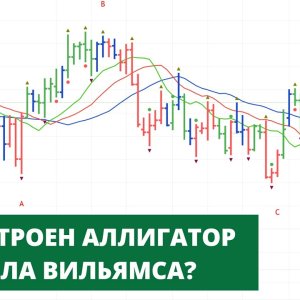 Обзор индикатора Аллигатор от Александра Котина